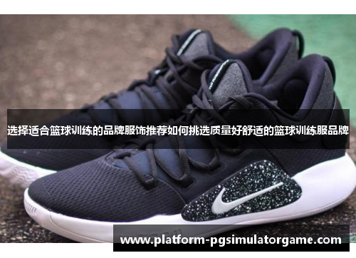 选择适合篮球训练的品牌服饰推荐如何挑选质量好舒适的篮球训练服品牌