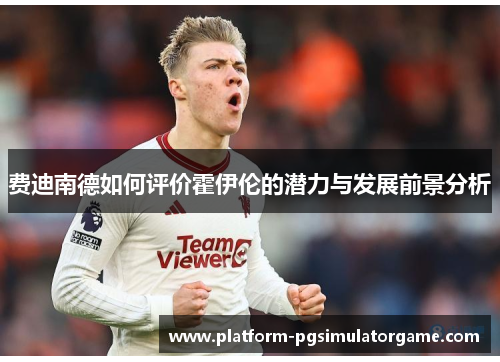 费迪南德如何评价霍伊伦的潜力与发展前景分析
