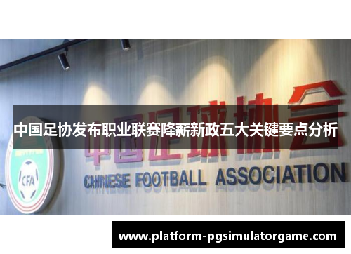中国足协发布职业联赛降薪新政五大关键要点分析