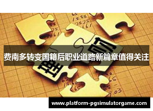 费南多转变国籍后职业道路新篇章值得关注
