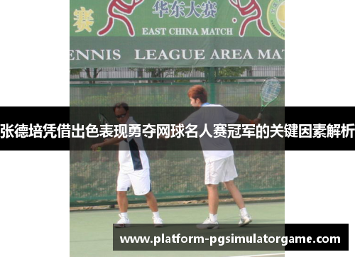 张德培凭借出色表现勇夺网球名人赛冠军的关键因素解析