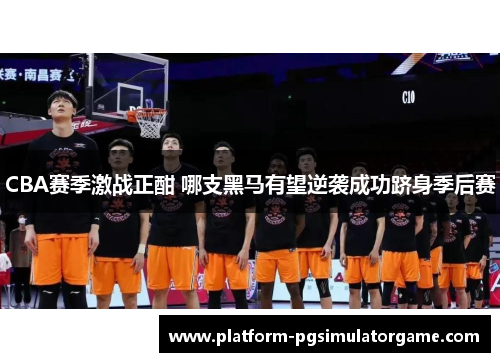 CBA赛季激战正酣 哪支黑马有望逆袭成功跻身季后赛