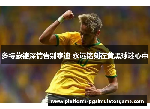 多特蒙德深情告别泰迪 永远铭刻在黄黑球迷心中