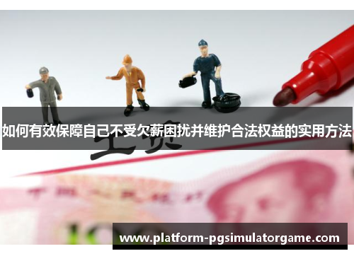 如何有效保障自己不受欠薪困扰并维护合法权益的实用方法