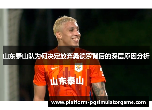 山东泰山队为何决定放弃桑德罗背后的深层原因分析