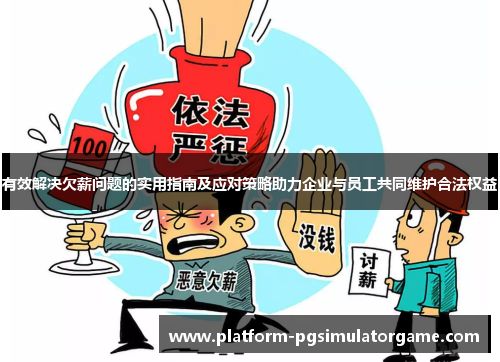 有效解决欠薪问题的实用指南及应对策略助力企业与员工共同维护合法权益