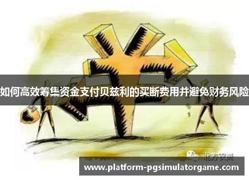 如何高效筹集资金支付贝兹利的买断费用并避免财务风险