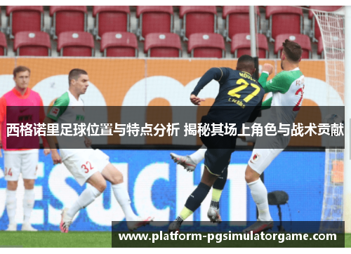 西格诺里足球位置与特点分析 揭秘其场上角色与战术贡献