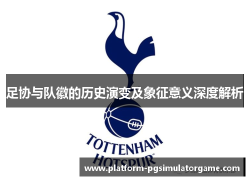 足协与队徽的历史演变及象征意义深度解析