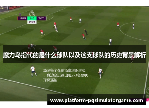 魔力鸟指代的是什么球队以及这支球队的历史背景解析