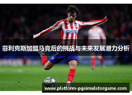 菲利克斯加盟马竞后的挑战与未来发展潜力分析