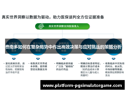 费南多如何在复杂局势中作出高效决策与应对挑战的策略分析
