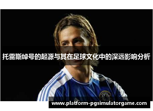 托雷斯绰号的起源与其在足球文化中的深远影响分析